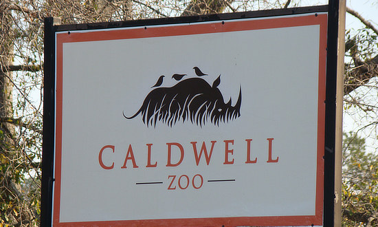 The Caldwell Zoo in Tyler 