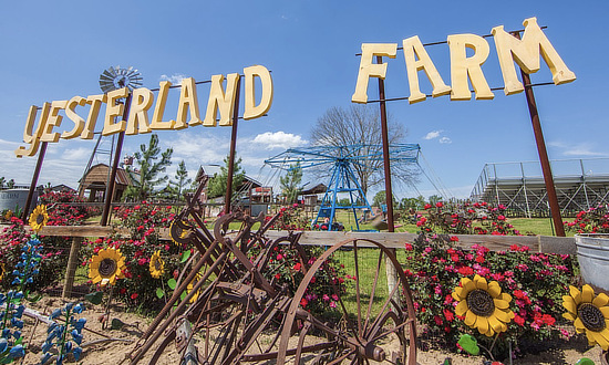 Yesterland Farm at Canton, Texas
